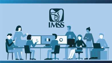 rfc contadores playa del carmen