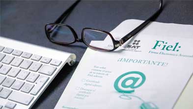 servicios fiscales playa del carmen