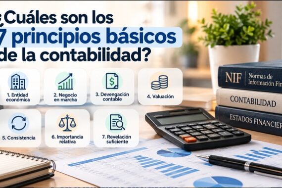 principios basicos de la contabilidad